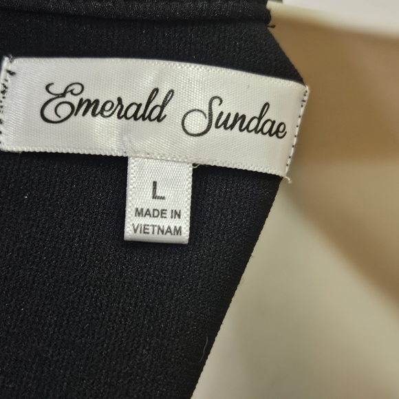 Emerald Sundae Black Sleeveless, Mesh Illusion A-Line Mini Dress,Large - Picture 16 of 16